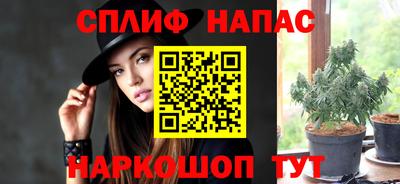прущие грибы Боровичи