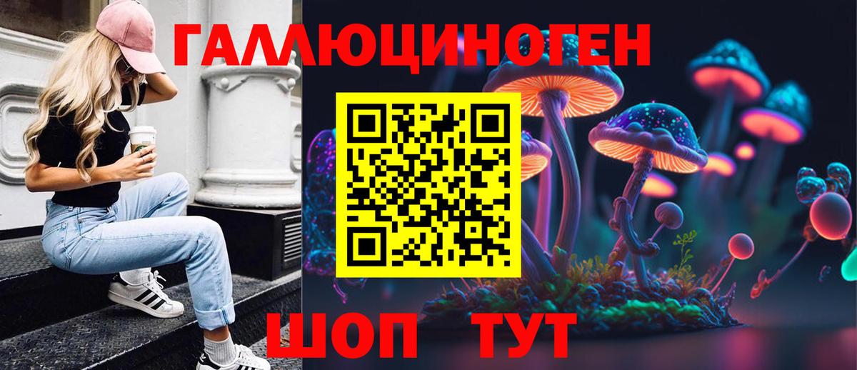 Камень-на-Оби  Галлюциногенные грибы GOLDEN TEACHER  Вход с VPN 