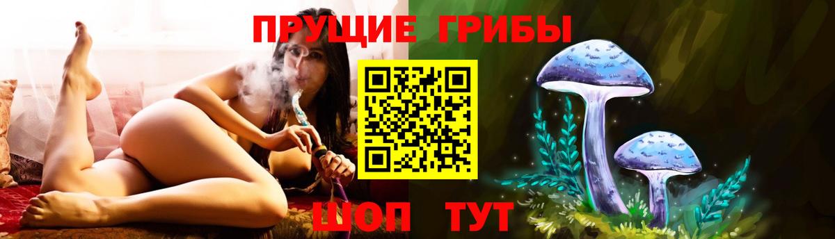 Галлюциногенные грибы MAGIC MUSHROOMS Камень-на-Оби